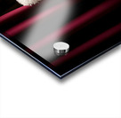 Poodle Puppy Bursts Out From Curtain Hiding Spot Acrylic print