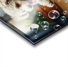 Poodle Puppy Discovers Bath Bubbles Impression Acrylique