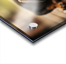 Happy Dachshund Puppy As Storm Clears With Rainbow Impression Acrylique