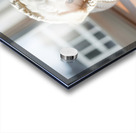 Bichon Frise Puppy Peeking From Sweater Sleeve Impression Acrylique