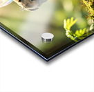 Pug Puppys Magical Garden Adventure Begins Impression Acrylique