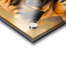 Pug Puppy Discovers The Amazing Moving Picture Box Impression Acrylique