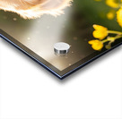 Golden Retriever Puppy Discovers Herb Pile Impression Acrylique