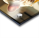 French Bulldog Puppy Discovers Spaghetti Bowl Impression Acrylique