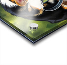 Wet Corgi Puppy Emerges From Watering Can Adventure Acrylic print