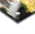 Patient Puppy Rests While Maintaining His Faithful Watch Impression Acrylique