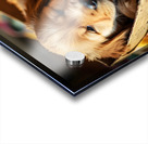 Golden Retriever Puppy Ready To Leave Box Fort Impression Acrylique