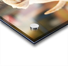 Puppy Waits Eagerly At School Gate For Children Acrylic print