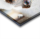 German Shorthaired Pointer Puppy Shakes Off The Bubbles Acrylic print