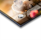 Golden Puppy Happy With New Fence Friend Impression Acrylique