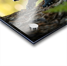 Cane Corso Puppy Spots Squirrel At Tree Base Impression Acrylique