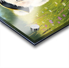 Bichon Frise Puppy Discovers Pirate Treasure Map Acrylic print