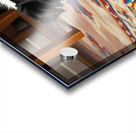 Border Collie Puppy Discovers Perfect Hiding Spot Acrylic print