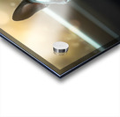 Boston Terrier Puppy Sees Sunshine After The Rain Impression Acrylique