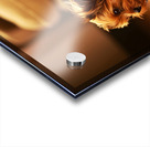 Happy Yorkshire Terrier Puppy Plays With Toy Impression Acrylique