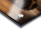 Happy Yorkshire Terrier Puppy With Nature Treasures Impression Acrylique