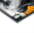 Curious Cane Corso Puppy Discovers New Treat Acrylic print