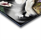 Curious Husky Puppy Discovers Garden Pond Acrylic print