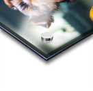 Yorkshire Terrier Puppy Discovers Amazing Aquarium World Impression Acrylique