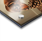 Happy Dachshund Puppy Relaxing With Natural Treasures Impression Acrylique