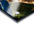 Bulldog Puppy Waves Goodbye To Mail Carrier Acrylic print