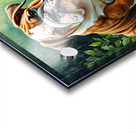 Bulldog Puppy Discovers Garden Snail On Rainy Day Acrylic print