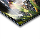 Bulldog Puppy Resting After Big Adventure Impression Acrylique