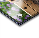 Beagle Puppy Enjoys Digging Success Acrylic print