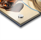 Dachshund Puppy Content On Cozy Dog Bed Acrylic print