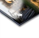 Sleepy Golden Retriever Puppy Rests In Cozy Haystack Impression Acrylique