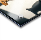 Golden Retriever Puppy Discovers Dancing Wall Shadows Acrylic print