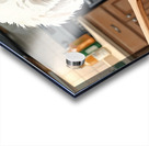 Bichon Frise Puppy Discovers Something New Acrylic print