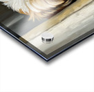 Shih Tzu Puppys Perfect Hiding Spot Behind Curtain Impression Acrylique