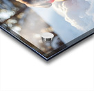 Content Pug Puppy Resting After Snow Day Adventure Acrylic print