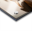 Sleepy Golden Retriever Puppy Rests After Shadow Chase Acrylic print