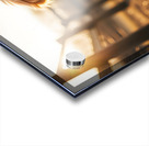 Golden Retriever Puppy Discovers Farm Haystack Adventure Acrylic print