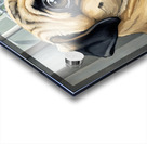 Pug Puppy Sits Proudly After Successful Guard Duty Impression Acrylique