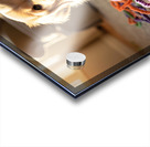 Golden Retriever Puppy Discovers Colorful Yarn Ball Acrylic print