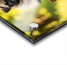 Pug Puppys First Wagon Ride Adventure Acrylic print