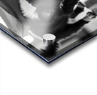 Excited Boston Terrier Puppy Emerges From Shopping Bag Discovery Impression Acrylique