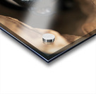 Boston Terrier Puppy Discovers Mysterious Shopping Bag Acrylic print