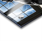 Cane Corso Puppy Seeks Shelter Under Table Impression Acrylique