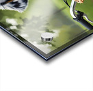 Happy Australian Shepherd Puppy Enjoys Bicycle Ride Acrylic print