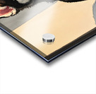 Sleepy Husky Puppy Naps On Cozy Windowsill Impression Acrylique