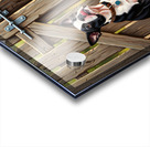 Boston Terrier Puppy Delivers Flowers To Loving Hands Impression Acrylique