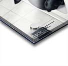 Boston Terrier Puppy Waits Nervously In Bathroom Sink Acrylic print