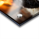 Happy Border Collie Puppy Enjoys Perfect Evening By The Fire Impression Acrylique