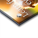 Learn from Stumbles Like Puppies Acrylic print