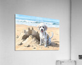 Happy White Poodle Puppy Sits In Destroyed Sand Castle Ruins Acrylic Print