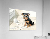 Brown Yorkshire Terrier Puppy With Unrolled Toilet Paper Trail Acrylic Print